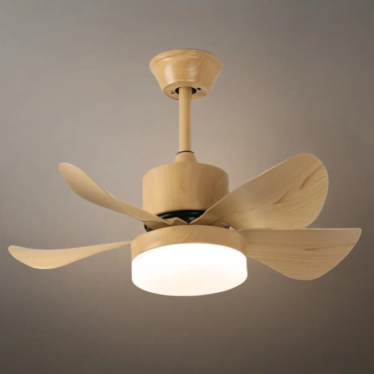 Zenno Minimalist Ceiling Fan Light